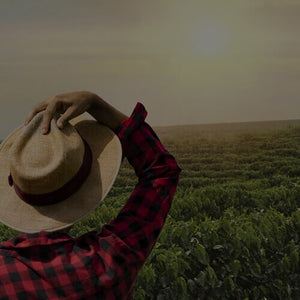 Earth Day Bundles featured mobile hero -- person wearing flannel shirt and straw hat overlooking grassy landscape