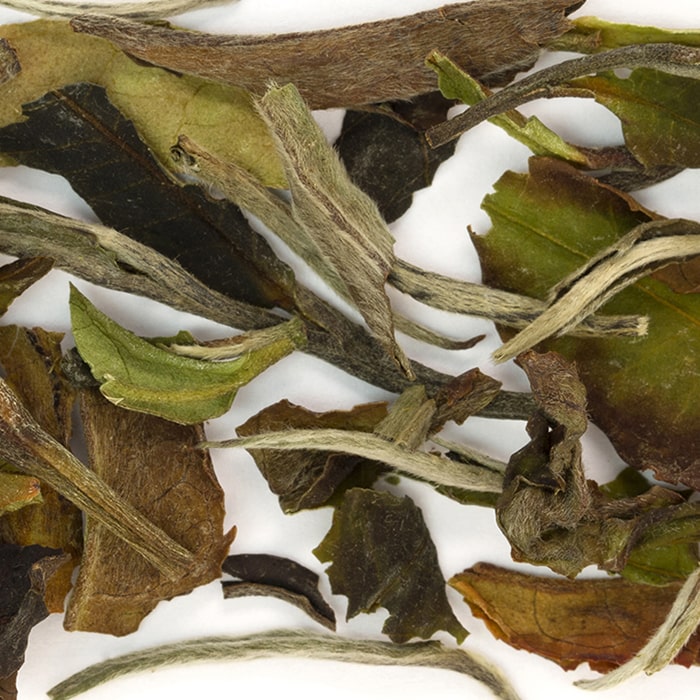 Coffee Bean Direct/Tattle Tea Organic Bai Mu Dan White Tea leaves