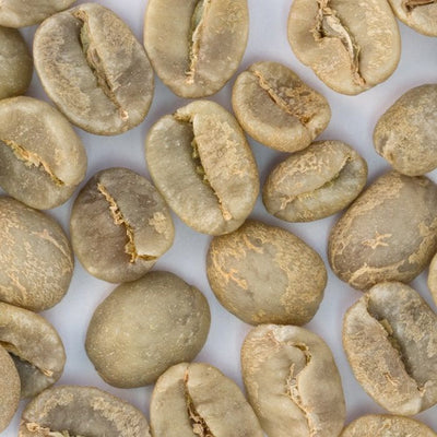Coffee Bean Direct Unroasted Jamaican Blue Mountain Style beans