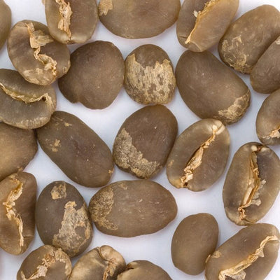 Coffee Bean Direct Unroasted Sumatra Mandheling beans